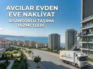 Avcılar evden eve nakliyat hizmeti, sigortalı ve asansörlü taşımacılık - İstanbul Taşımacılık